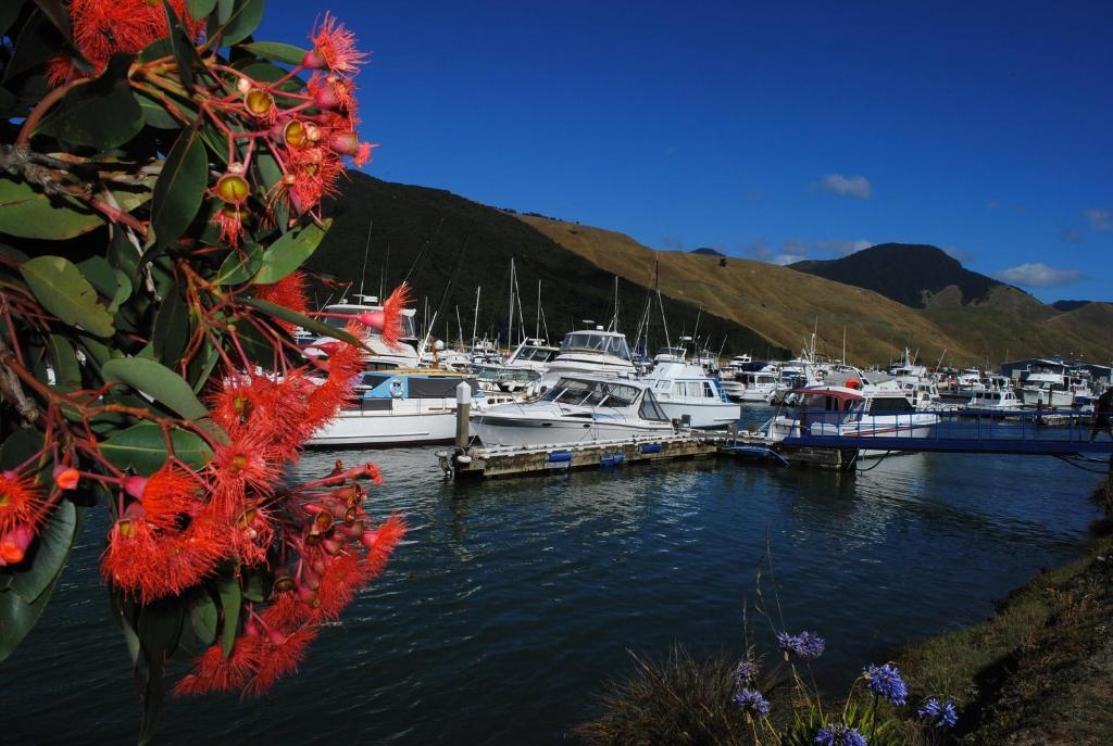Blue Moon Lodge Havelock Buitenkant foto